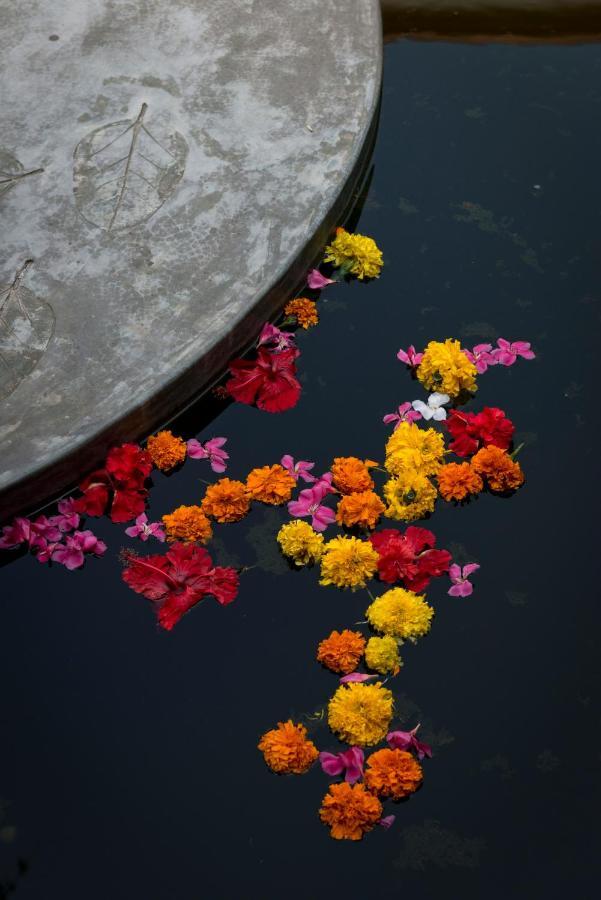 Purity At Lake Vembanad Mararikulam Eksteriør billede